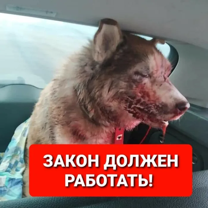 закон должен работать!