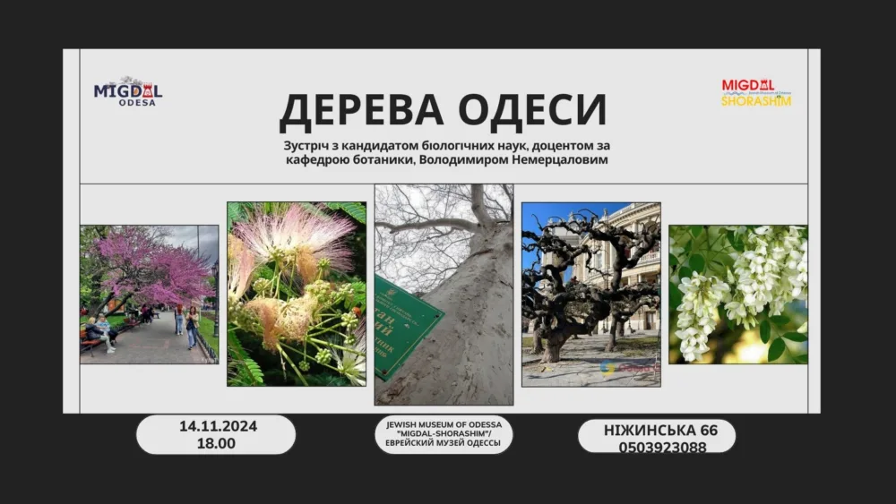 дерева одеси. зустріч з володимиром немерцаловим.