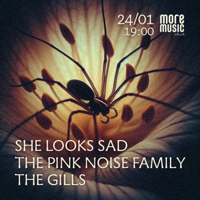 She Looks Sad, The Pink Noise Family, The Gills