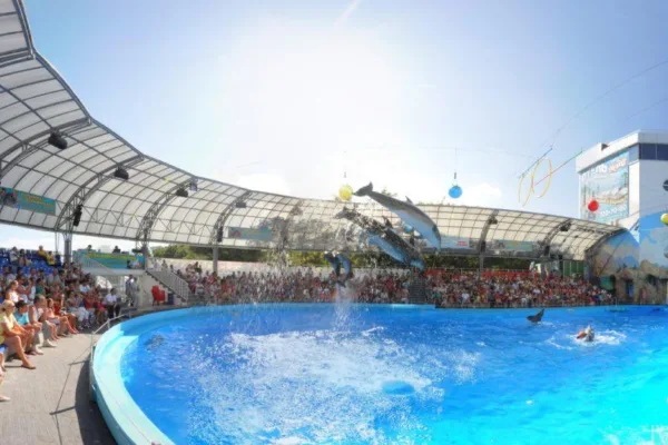 🐬 Дельфінарій Немо Одеса — Враження на все життя біля моря!